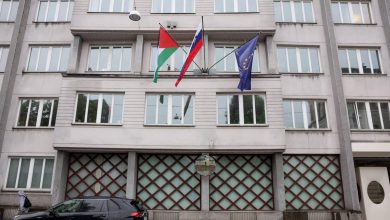 حكومة سلوفينيا تقرر الاعتراف بدولة فلسطين