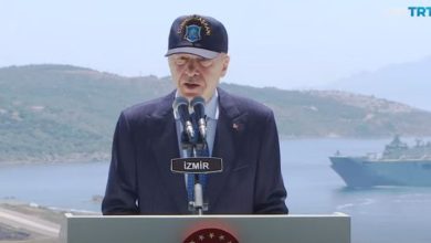 الرئيس التركي رجب طيب أردوغان خلال مناورات "إفيس-2024